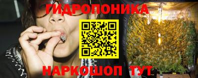 прущие крисы Кунгур