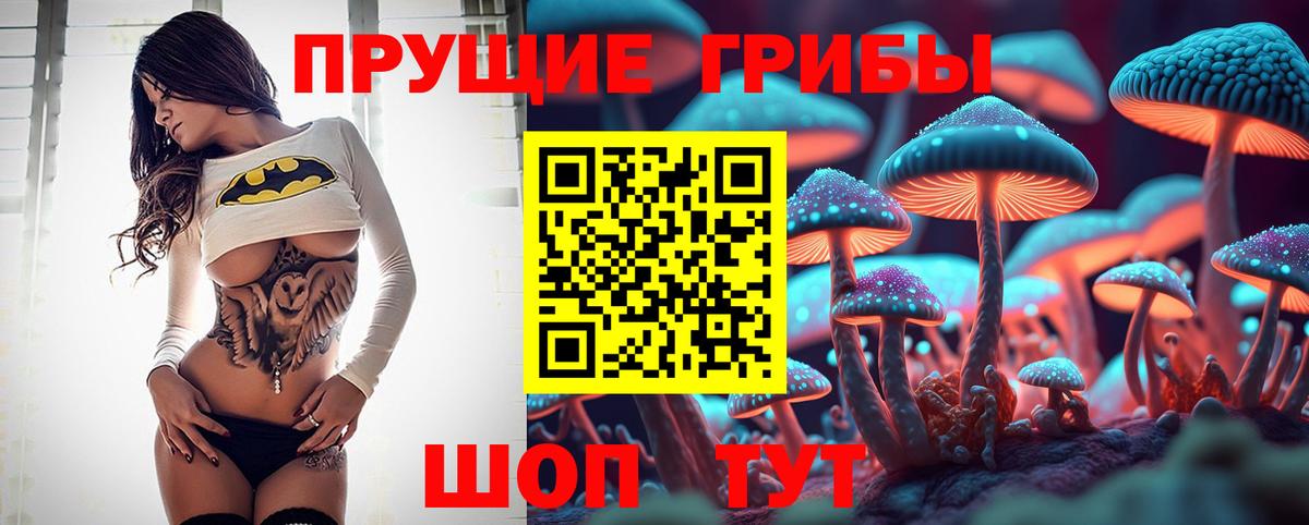 Галлюциногенные грибы Psilocybe Сургут